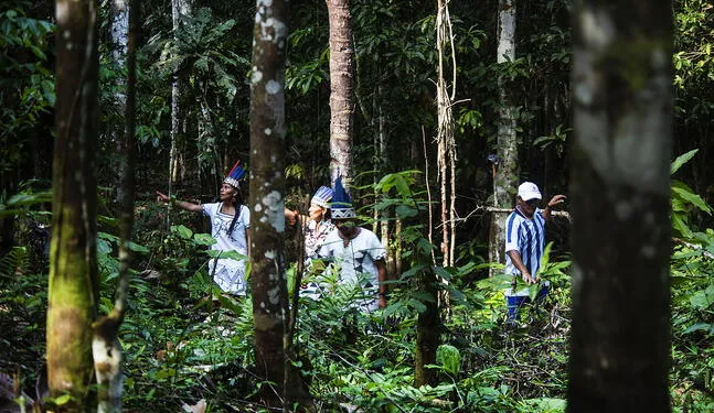 Comunidades del río Napo saldan sus deudas forestales