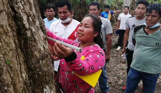 Comunidades nativas fortalecen vigilancia de sus bosques
