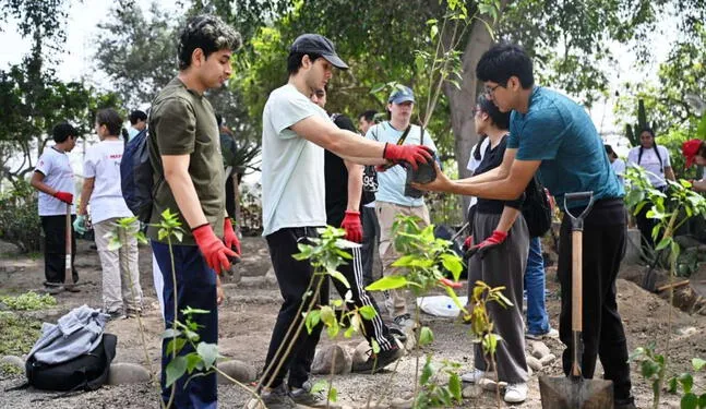 Lima: Programa logra sembrar más de medio millón de árboles