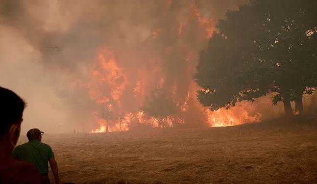 Cambio climático intensificó condiciones para incendios forestales