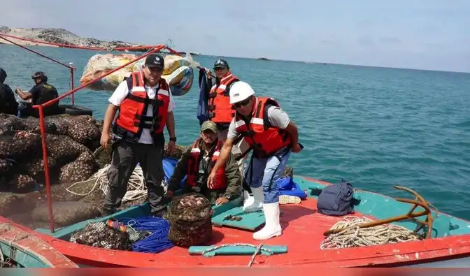 Pesca artesanal en Perú: el rol de la IA para mejorar la trazabilidad y sostenibilidad