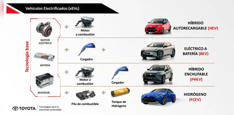 Estructura de cada tecnología.   