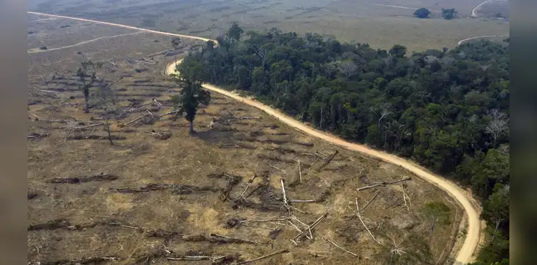 <em>La Amazonía es arrasada a diario a pesar de su enorme importancia. Foto: Internet.</em>   