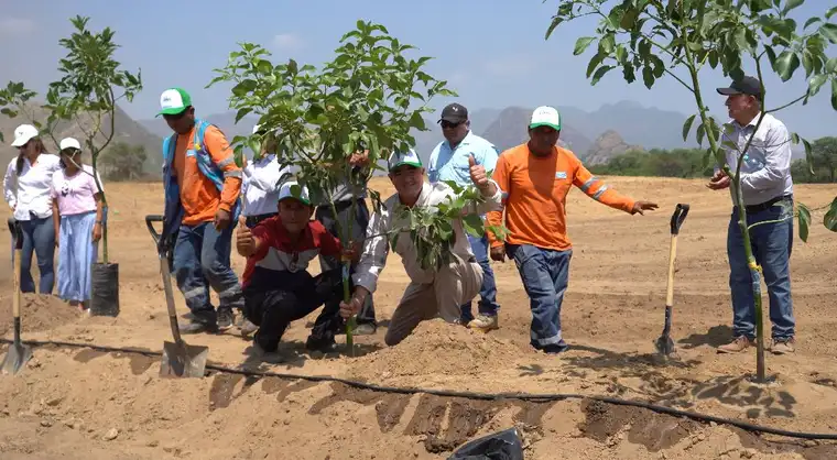 <em>Con el apoyo de este proyecto, los agricultores mejoran sus técnicas de cultivo.</em>   
