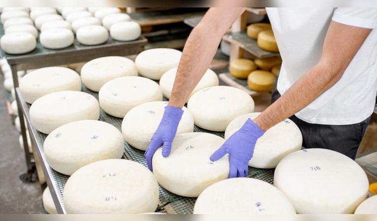 produccion-de-leche-peru