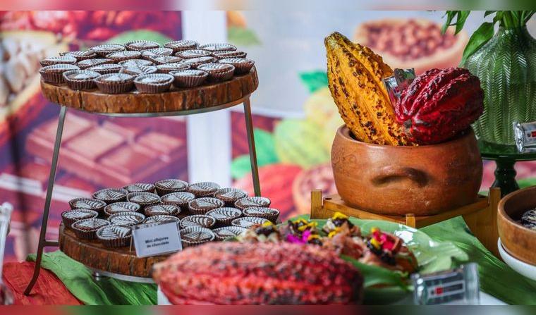 dia-del-cacao