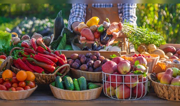 exportaciones-frutas-hortalizas