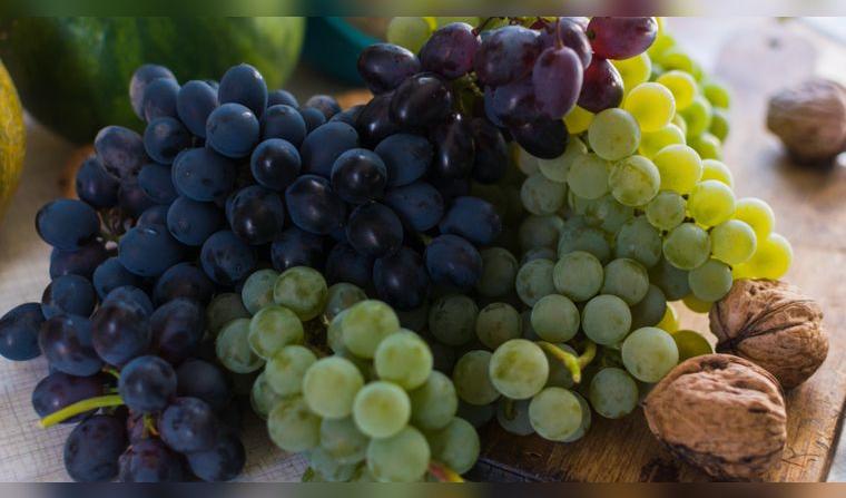 exportaciones-frutas-hortalizas