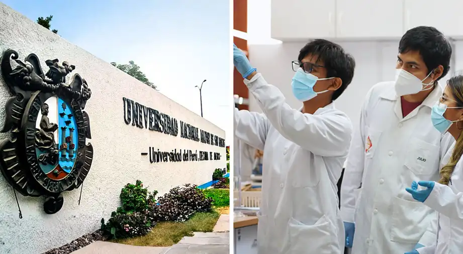 Centro de investigación de San Marcos busca el reconocimiento de la OEA